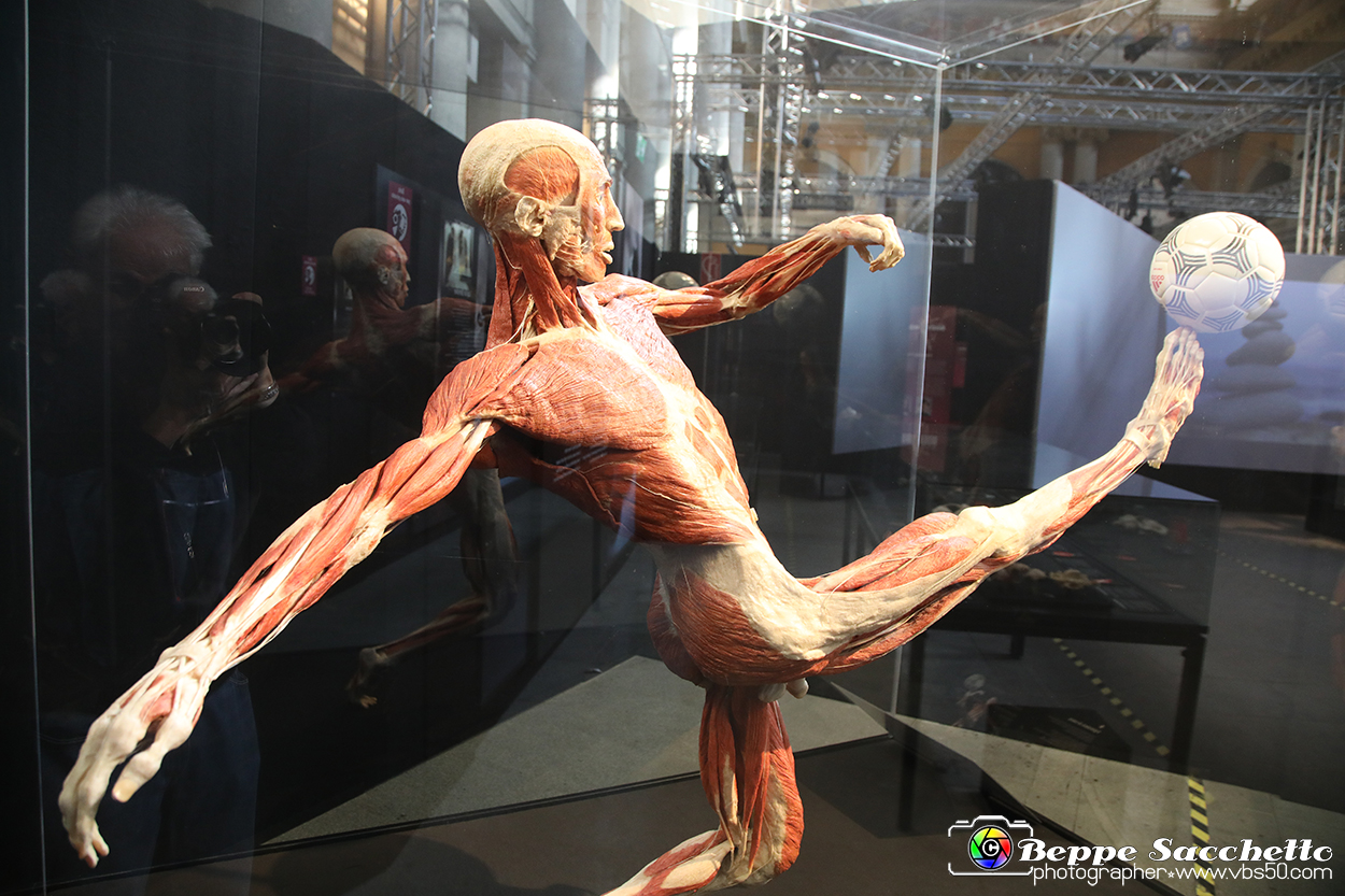 VBS_2609 - Mostra Body Worlds.jpg